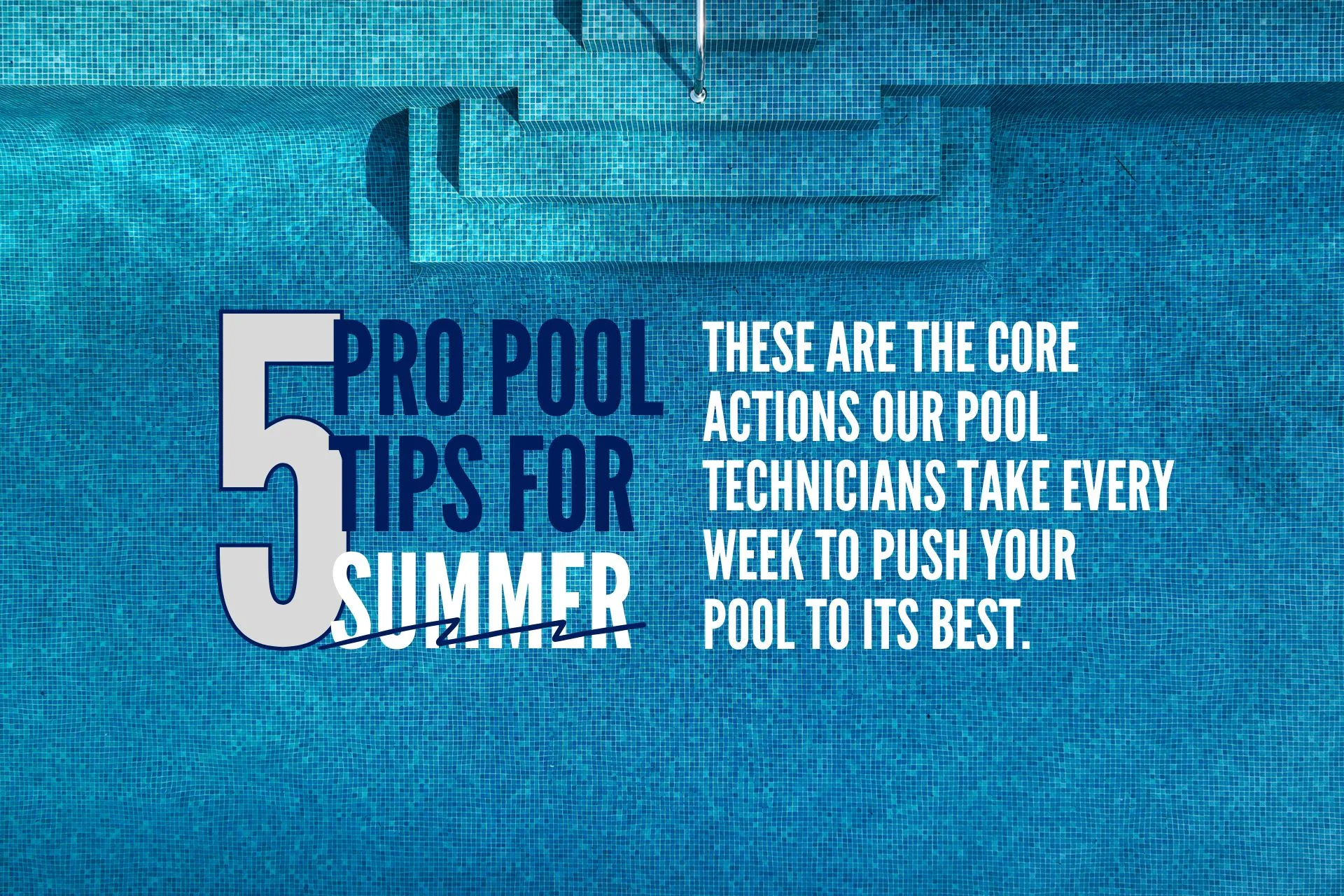 Pool Tips Rose Bay