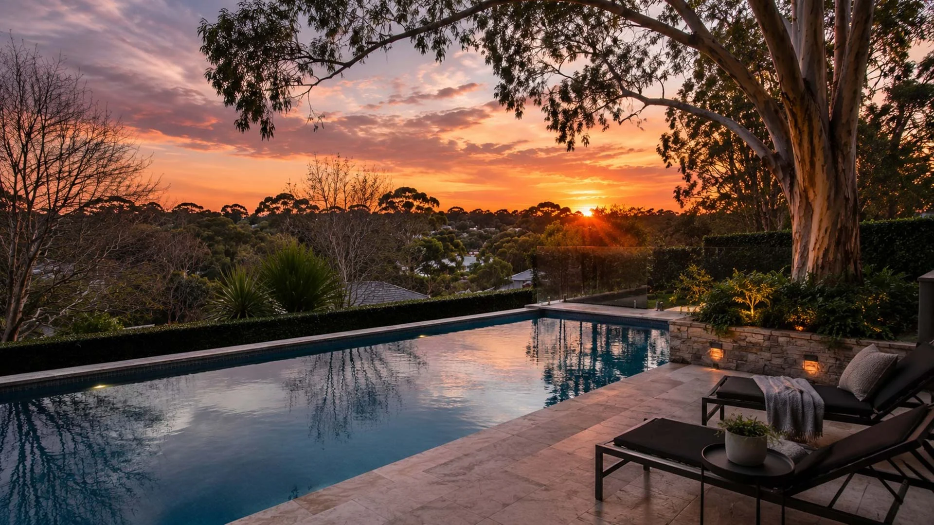 Winter Pool Cleaning Trees